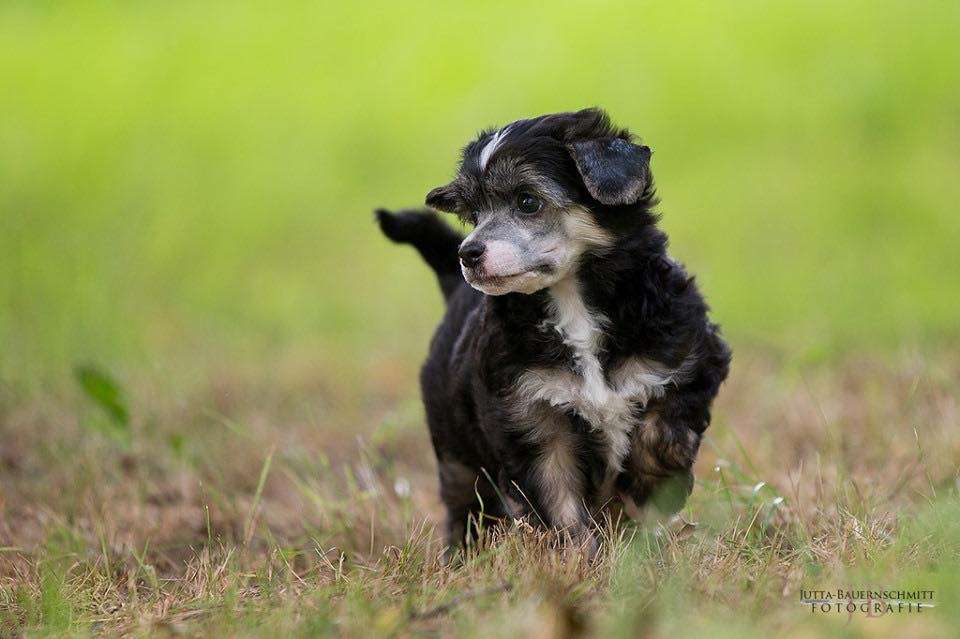 A Wonderful Lady vom Druidenhain