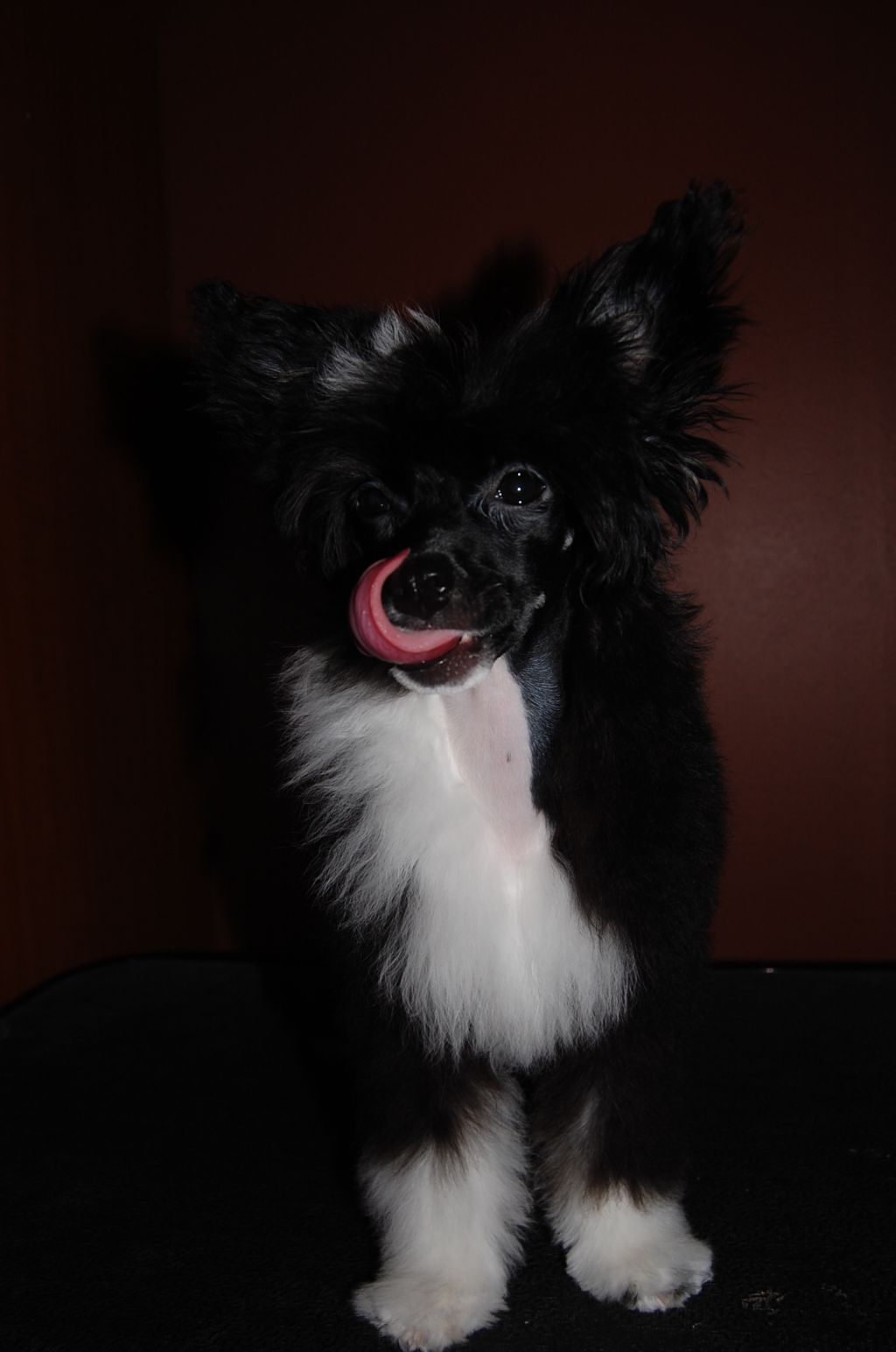 Pinky Twinky Jewells'N Pearls