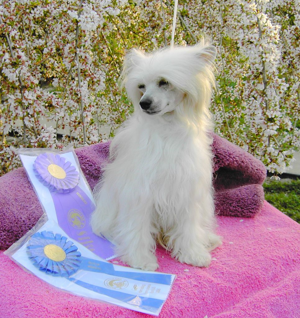 Su-Zen Creme de Makara