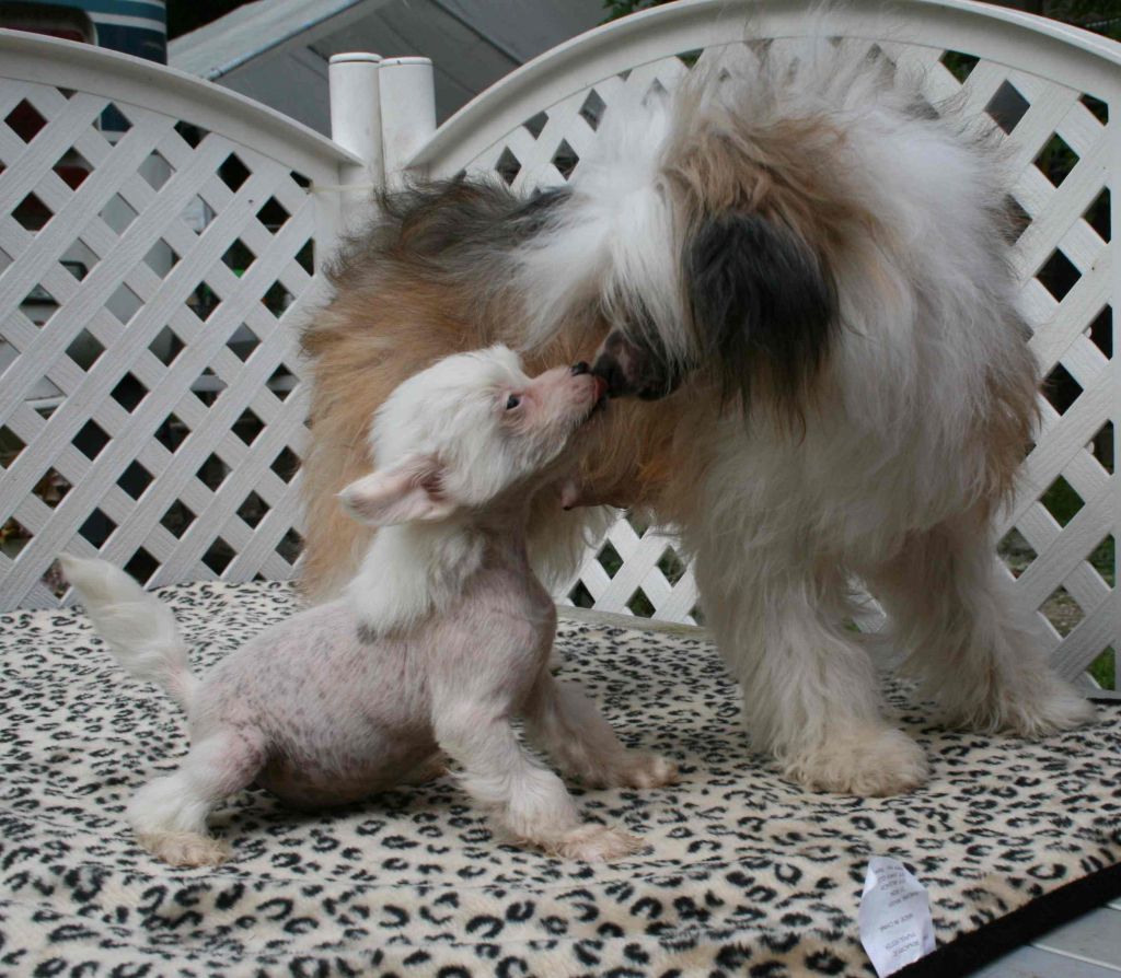 Mstical Out of the Blue