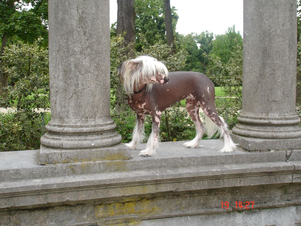 Fenechka Fju Chin Mitau UCI 