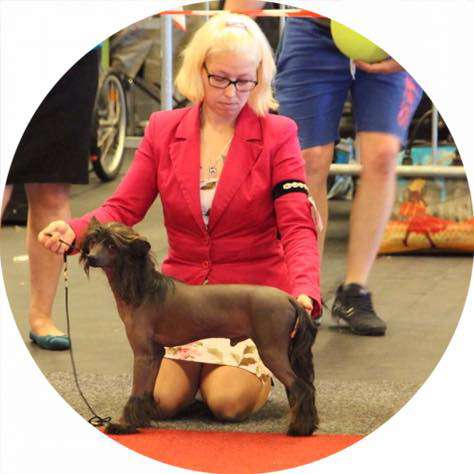 Playboy Of Livin la Vida Loca