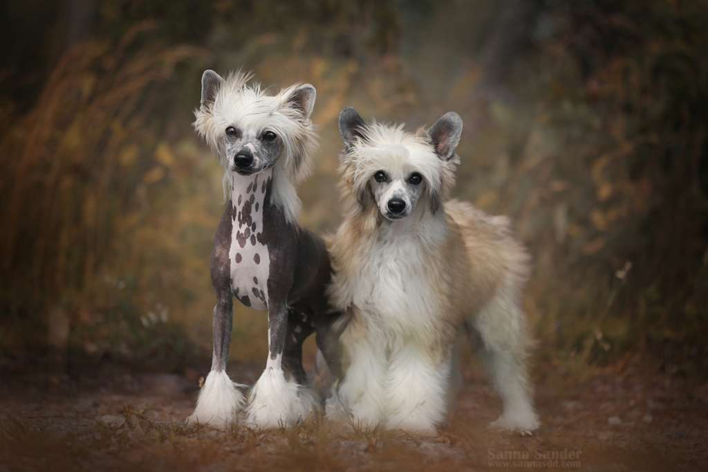 Prefix The Devil Wears Nada