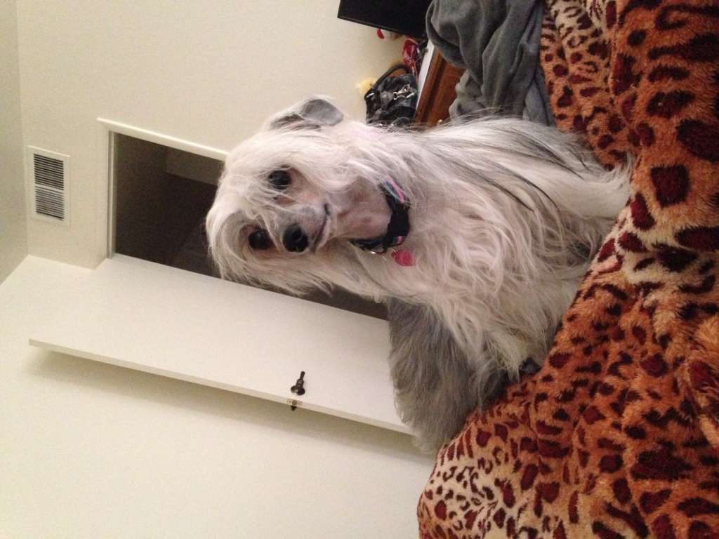 Mstical"s Finest China