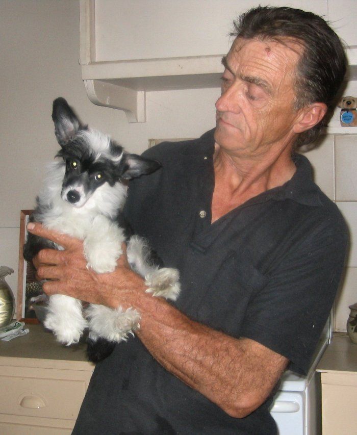 Mohawk Hairlucination