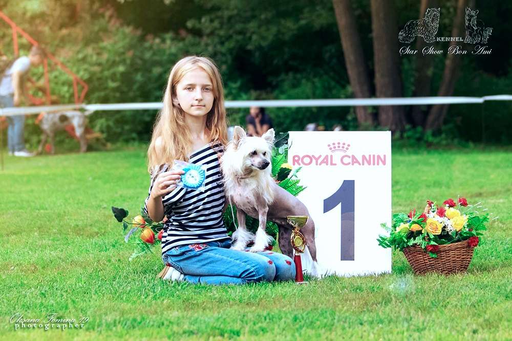 Star Show Bon Ami Dafna