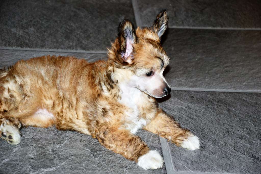 De La Mahafu's WI Lady Orizza