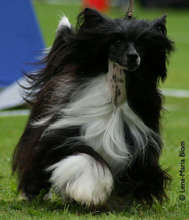 Sun-Hee's Million Dollar Outfit