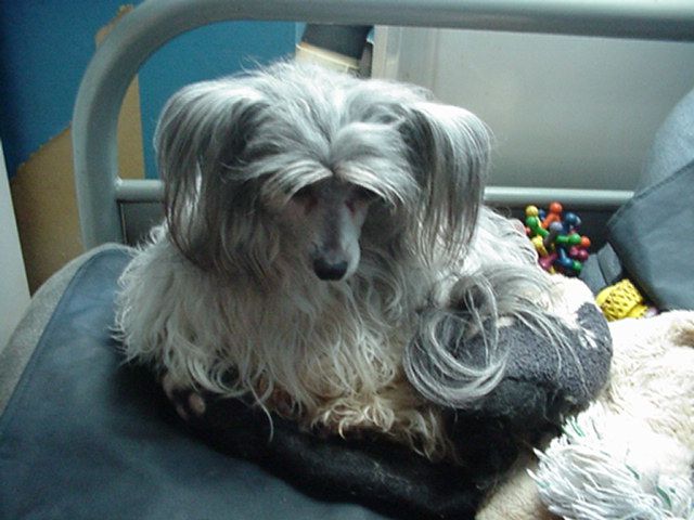 BridgetNAces Black Beauty