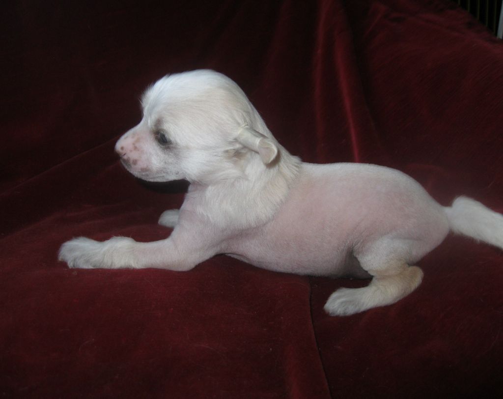 Magic of Success Lead To Win