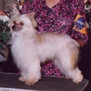 Puffin Kings Ransom Of Mardon