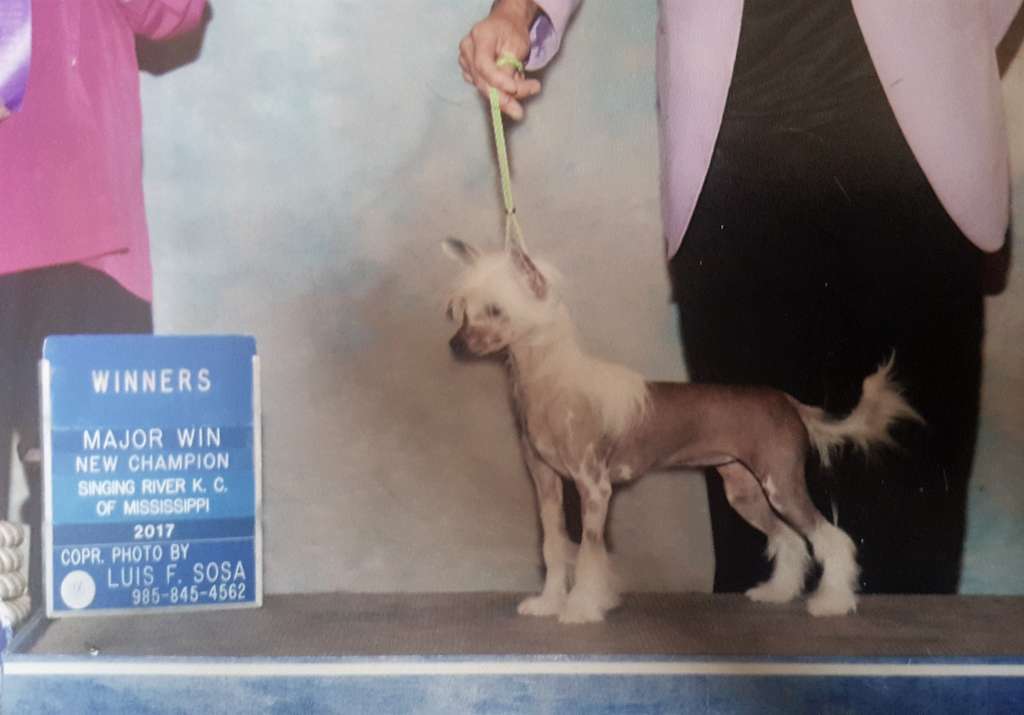 Ch. Some Like It Hot By Jove