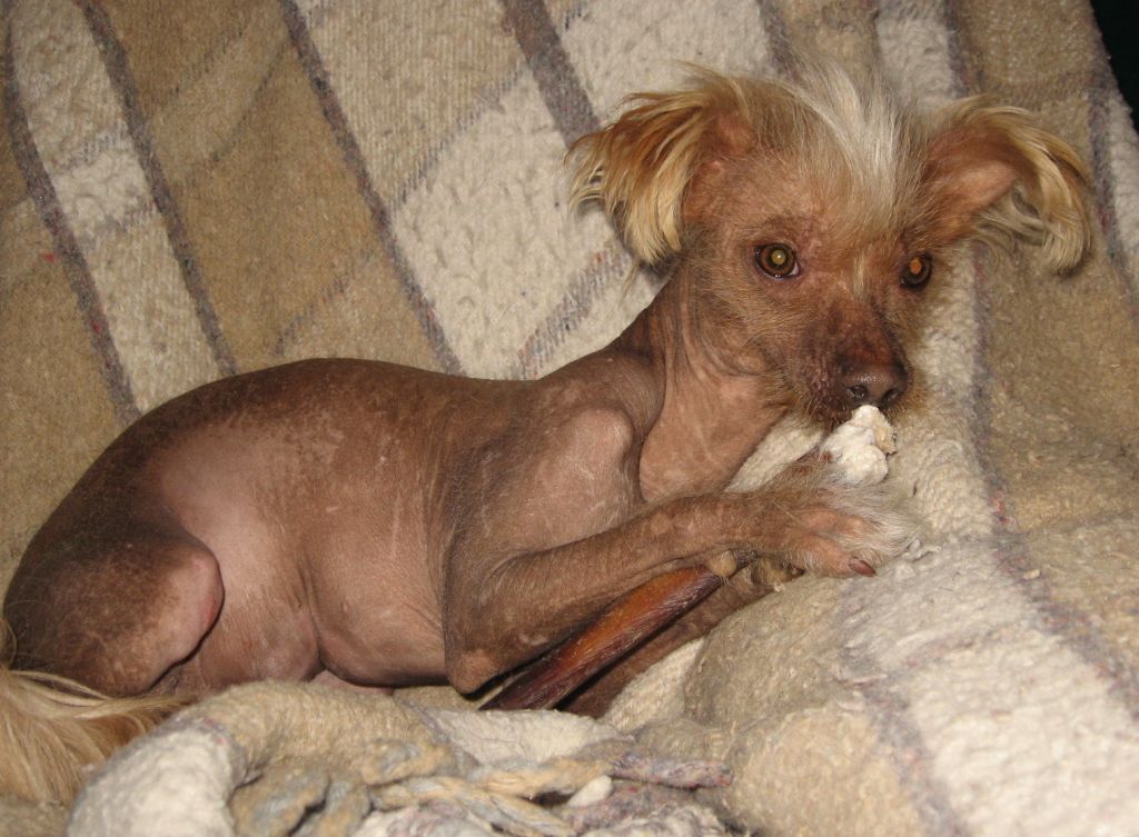 Versace Kisses Of Shelterwood