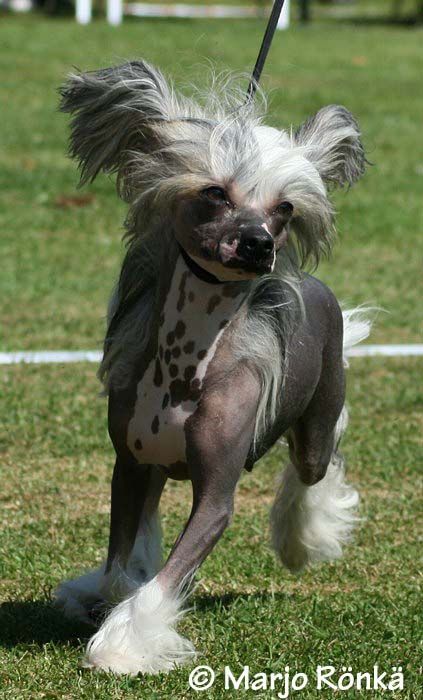 Sun-Hee's So Seductive for Pantomim