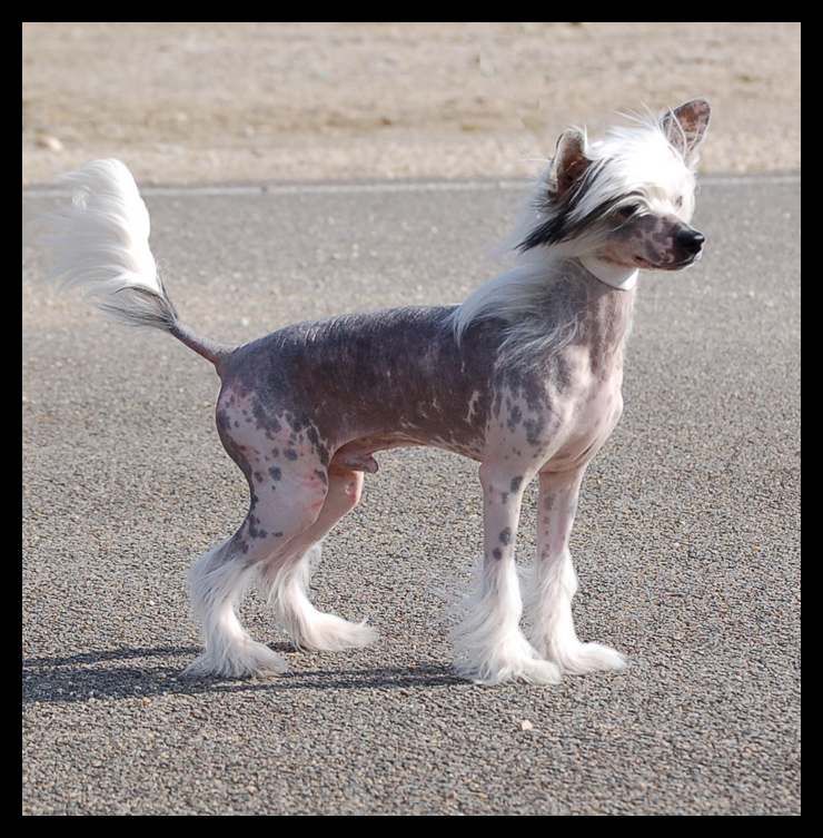 Extrem Serial Lover Du Coeur Des Tenebres