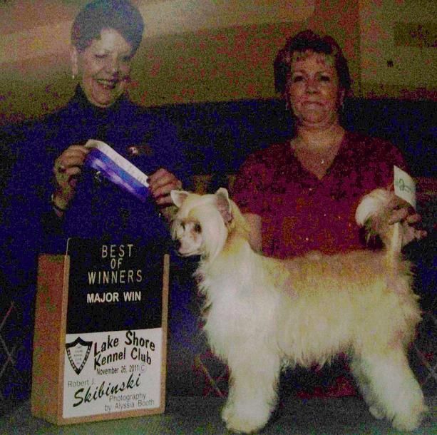 Edelweiss Kan Du's Kiss My Attitude