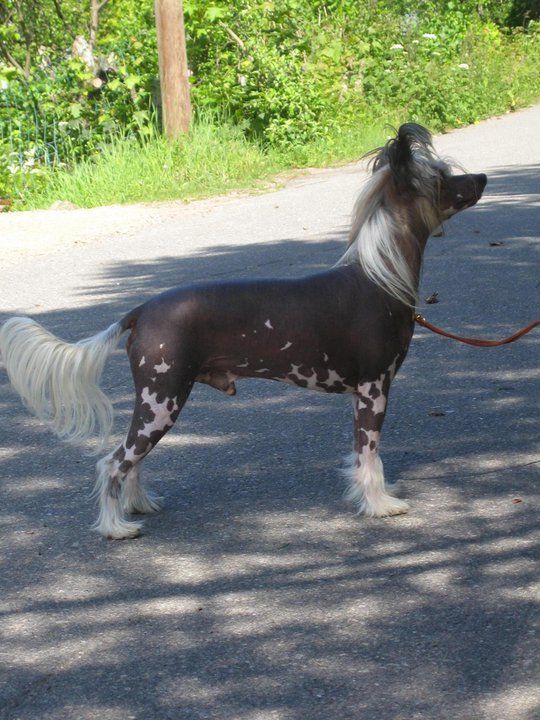 Secret Line's Lord Ofwarriors