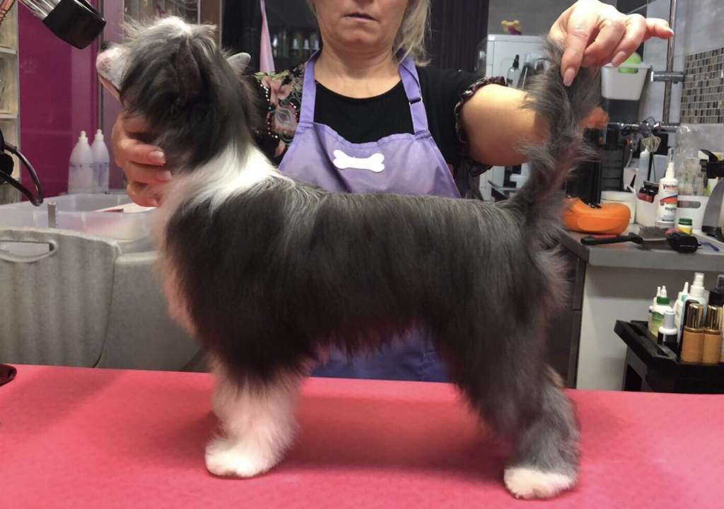 Kiss Me Caramella's Family