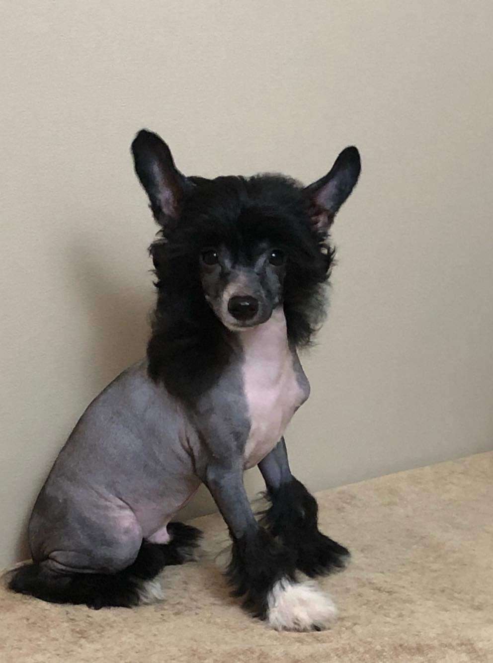 Marydance Dawe George