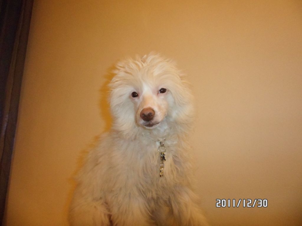 Wasabi Wi Fi Just Magma & Epocha