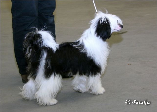 Just Call Me Hungry Luffy