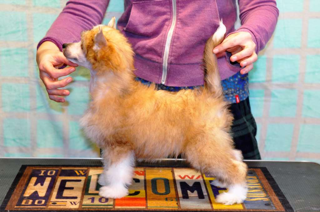 Zurbagan Winning Smile