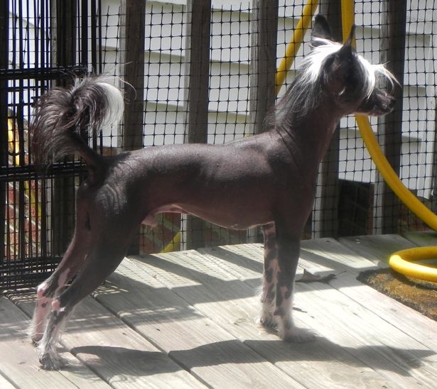 EverCrest-JRF Keep on Truckin