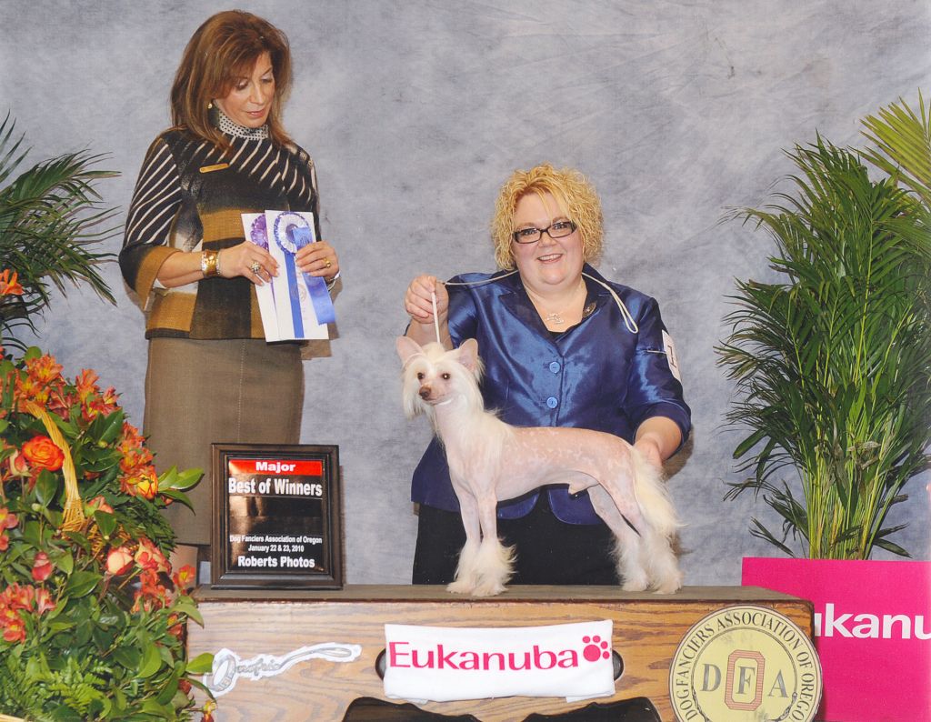 Shaken's Here For The Party