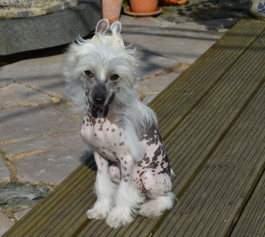 Azzaro von Shinbashi