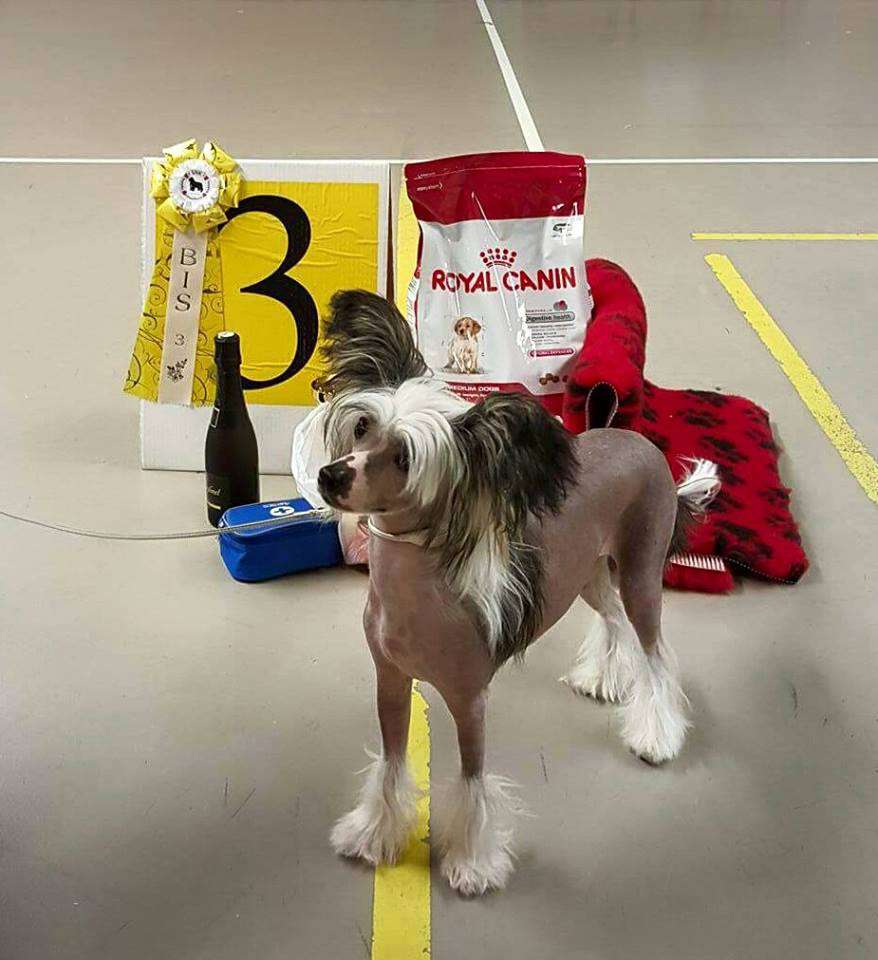 Yamboliz Helen Mirren