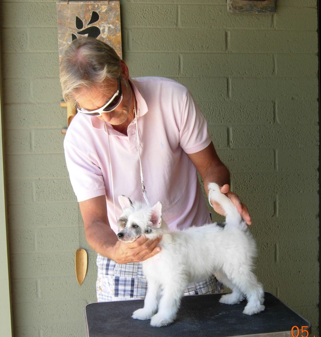 Aja The One and Only