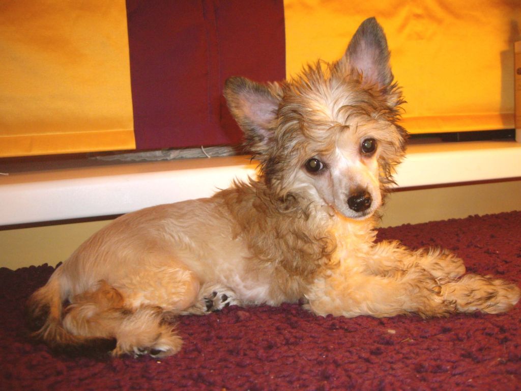 Endless Kiss Happy Miss