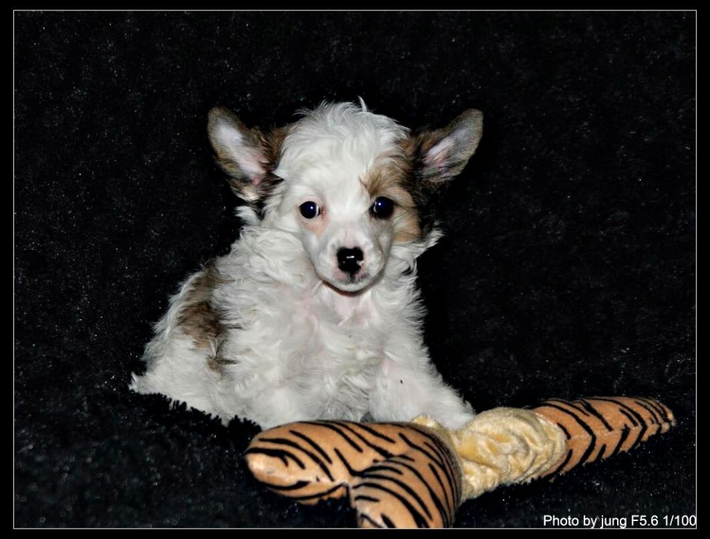 Candy Mana's Secret's