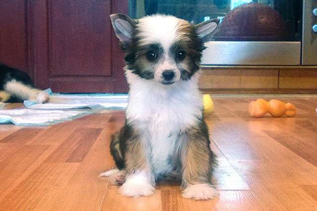 Ksolo Club Nidzhel Hits