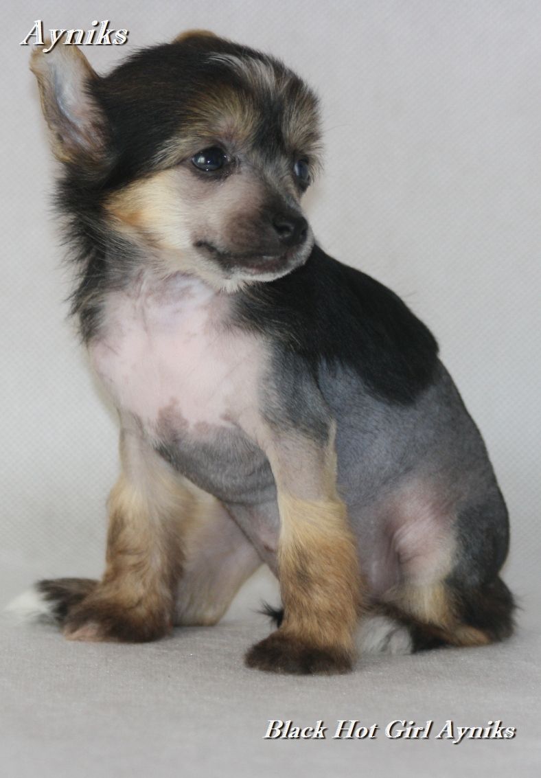 Black Hot Girl Ayniks