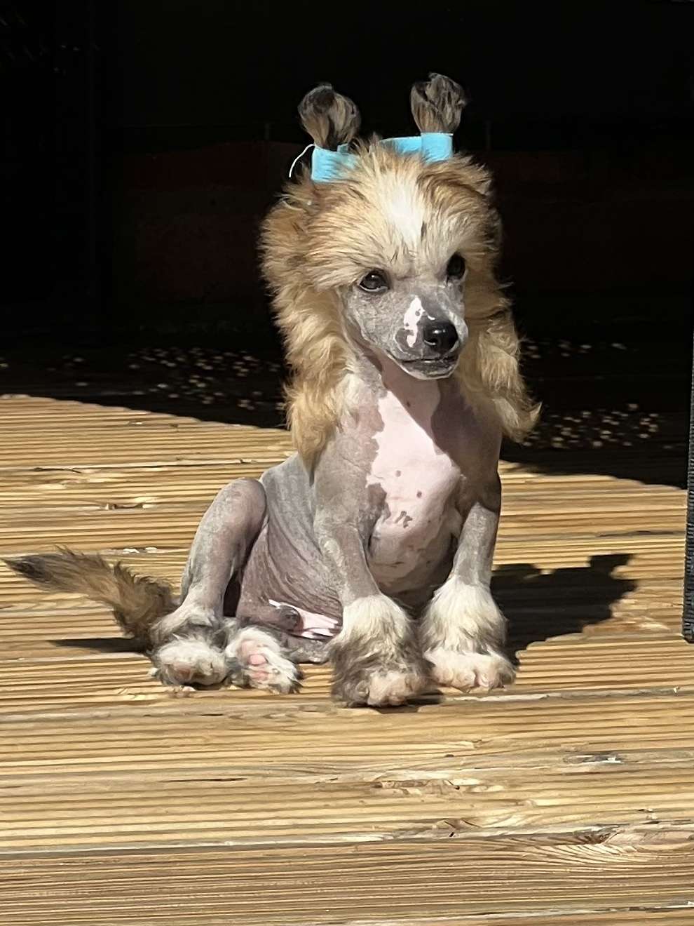 Kojiki's All Out Of Love