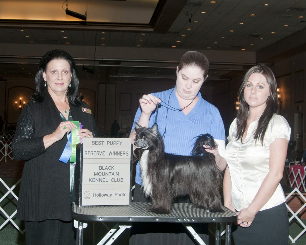 D'nude's Luck Be A Lady