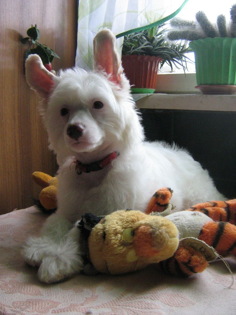 Orero Lovely Variety Show