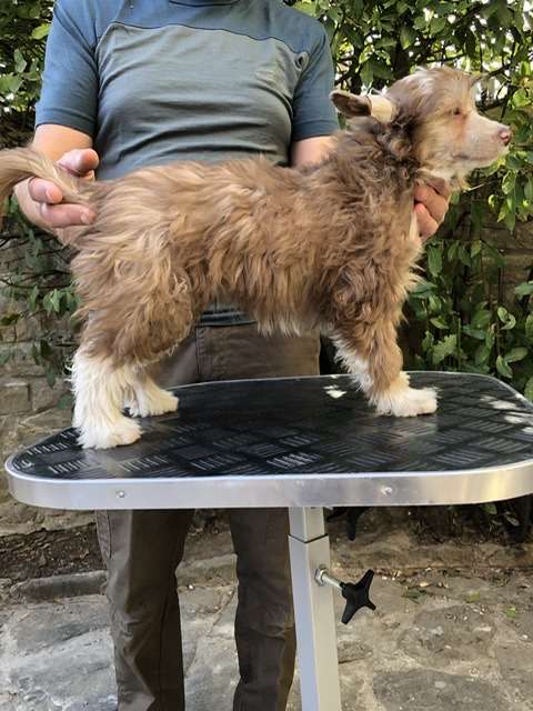 Manymore Chasandra on stage