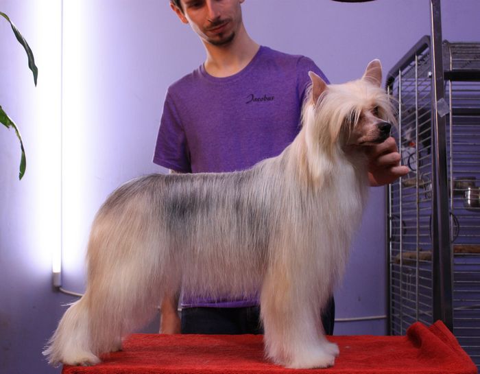 ZAGADKA Next Germanika