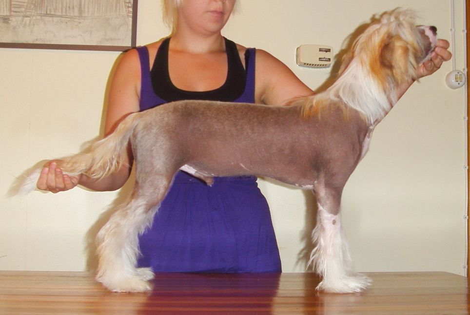 Noway's You've Got Yale