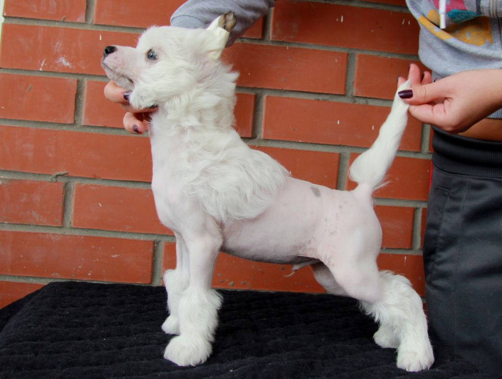 Oks Company Provence