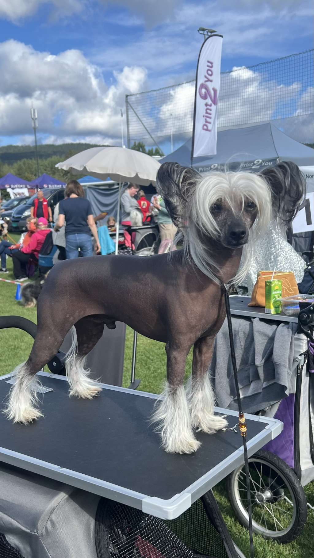 Beautiful Mr Cru by Naked Bubbles