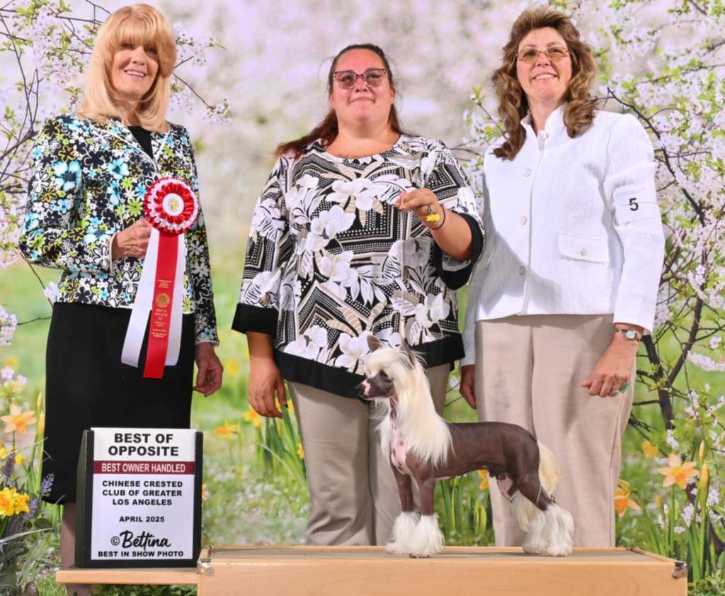 Edelweiss All Jake'D Up