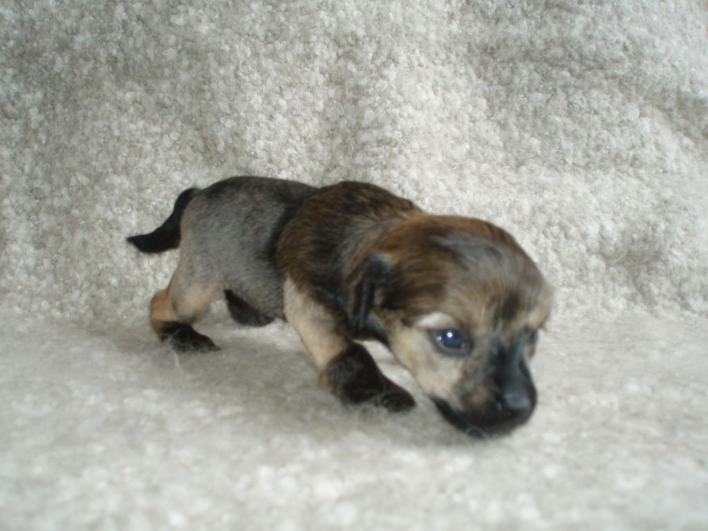 atxarrea the house of spirit