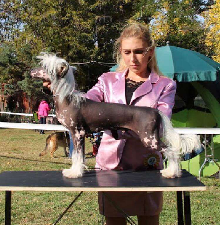 Fiery Fame One-man Show