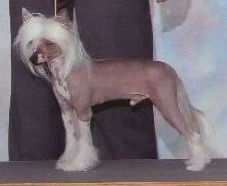 Diaz-Luna Sea-Hawk We-B