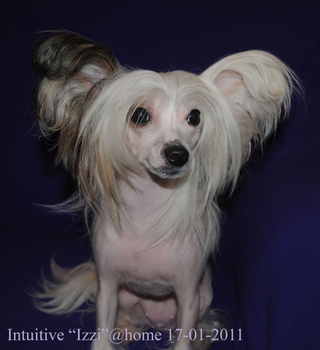 Intuitive Little Champs