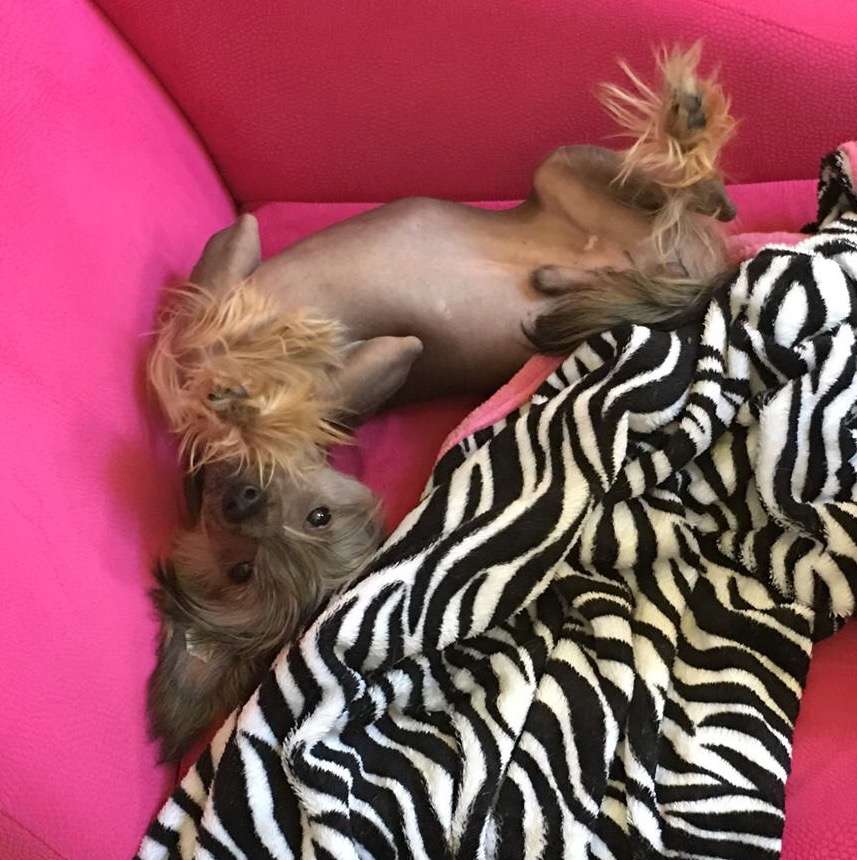 Jewels Top Of The World