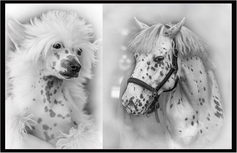 Ksolo Club Sengly De Perla Lati